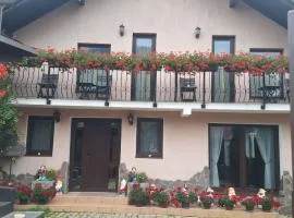 Casa Meresanu