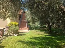 Appartamento Farfollie