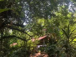 The Linger Farm