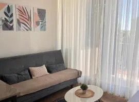 Ed Hassler #307 Mariale’s