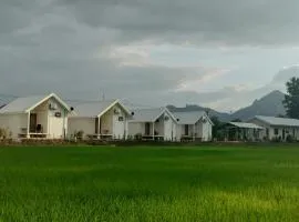 Tiny house homestay & cafe T1
