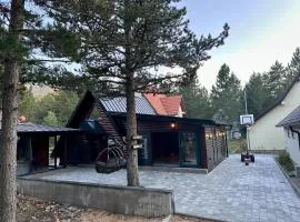 P&M A-Frame House
