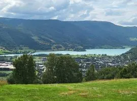 Free EV Charging with Snacks and View
