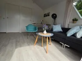 Cozy cottage Tzummarum near the Wadden Sea