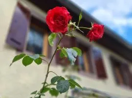 Ferienhaus Auf dem Knapp