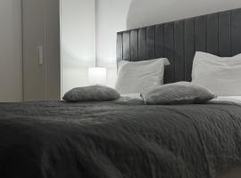 Danuvia Studio，德羅貝塔－塞維林堡的自炊式住宿