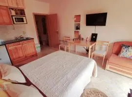 Студио PANORAMA MOUNTAIN, до ски писта Пампорово-Стойките