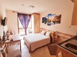 Студио PANORAMA MOUNTAIN, до ски писта Пампорово-Стойките