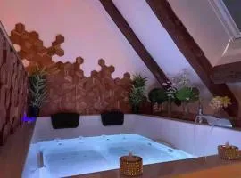 Love Room pour une escapade romantique avec Spa privatif
