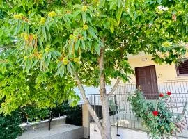Il Castagno