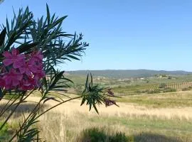 Agriturismo Fosso Torto