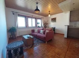 Cosy haven in Aalst with terrace a green haven