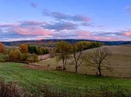 Spectacular Buckleberry View EV Recharge Hot Tub Fireplace Jacuzzi