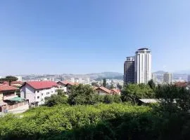 Golden View Apartment