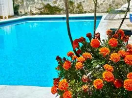 Silencio y naturaleza en Cuernavaca