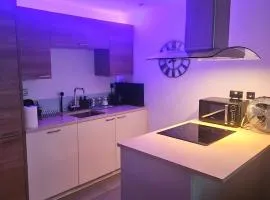 Executive Apartment with Exclusive London Views & Free Parking