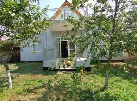 Qəbələnin mərkəzində 7 otaqlı ,dostlarınızla və ya ailənizlə istirahət etməniz üçün əla məkan
