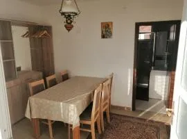 MetPK1