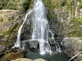 La jungla ecolodge