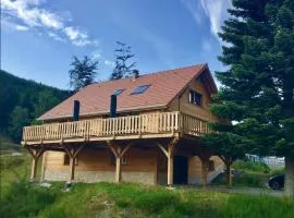 Grand chalet familial - Vue montagne, La Bresse