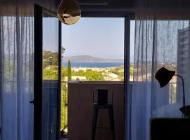 Le CosY Appart 44M2 Clim Vue Mer Golfe de Saint Tropez