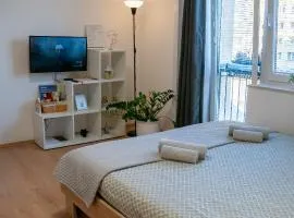 Small but cozy apartment