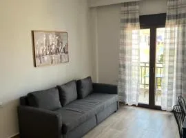 Nick apartment