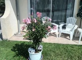 Les Hortensias