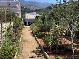 Little Paradise Livadi Himare