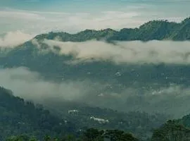 Exotic Stays 1bhk serviced apartment I couple friendly I kasauli