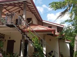 Coconut Villa Homestay
