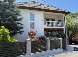 Pensiunea Grapini, hotel v destinaci Şanţ