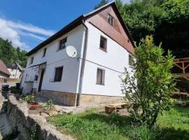 Hobití domeček u lesa a studánky