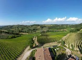 I Vigneti del Chianti