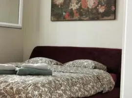 Appartement 3 chambres