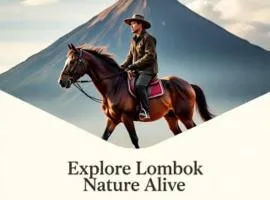 Rinjani Horse Riding BaseCamp