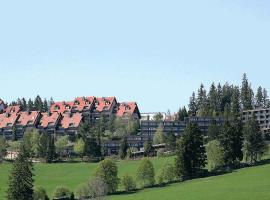 Appartmentvermietung Terrassenpark Schonach, hotel en Schonach