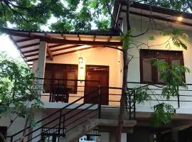 Cultraverse Dambulla