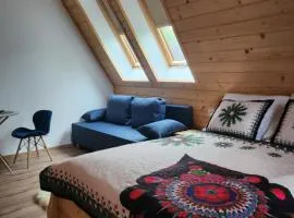 Pokoje Apartamenty Samo Centrum Zakopane ,,Willa Kasztelanka"