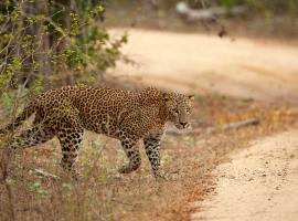 JAMI River Side Hotel & Yala Safari Place