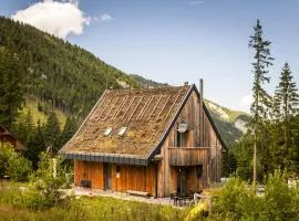 Fajna chata - Ski-in chalet in Jasna