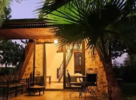 oasis de paix