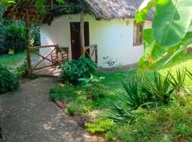 The Makuti breeze house