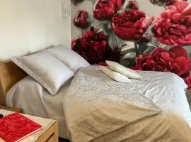 PIVOINE Chambre d hotes