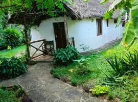 The Makuti breeze house