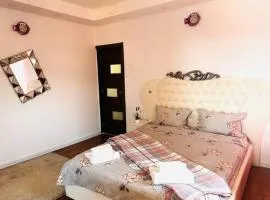 Simple and Cozy Room in Voluntari