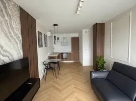 Skyline Apartment in center of Boleslawiec