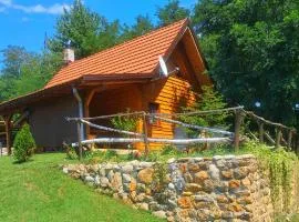 Kuca za odmor