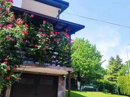 ZNK Family House