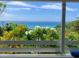 Paradise View at Halcyon Heights l Stunning Ocean View 1BR l 10 minute walk to the Beach